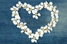 13548255-heart-symbol-made-from-flowers-on-jeans-texture
